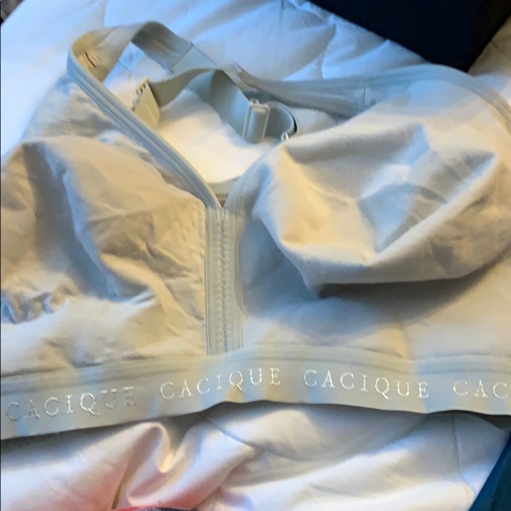 48dd Lane Bryant bra